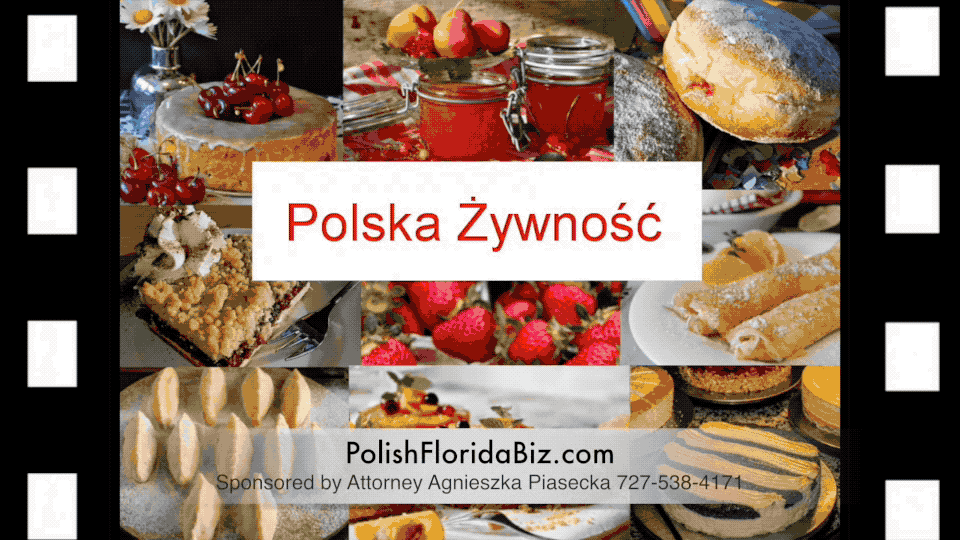PolishFloridaBiz.com gif 6