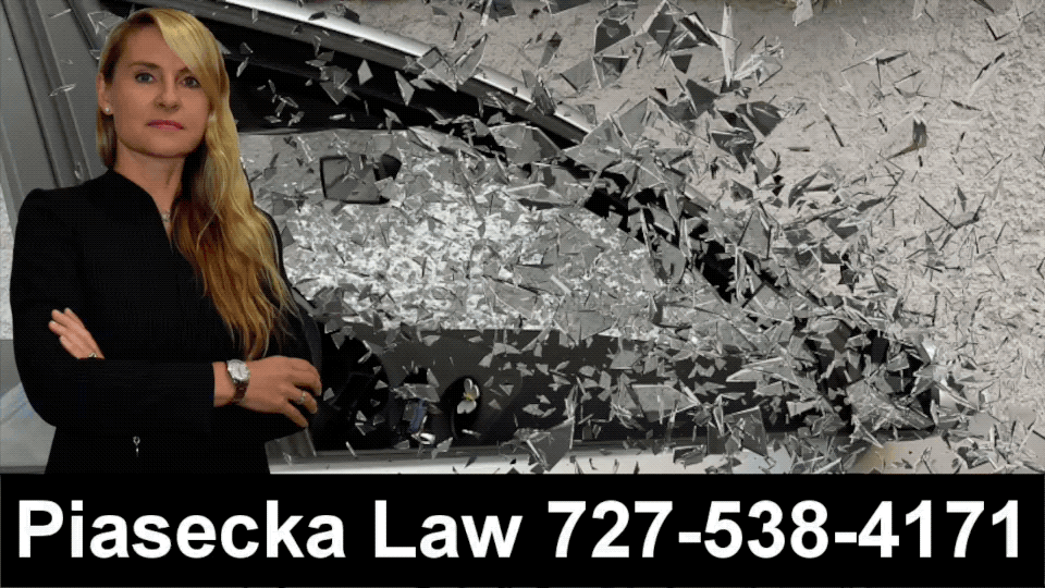 Wypadki Accidents Polish Attorney, Tampa Aga Piasecka Polish Lawyer, Tampa Bay, Polski Prawnik Adwokat Attorney 